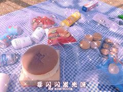 -小麦岛公园