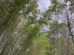-千泷沟大瀑布旅游区