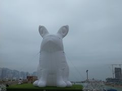 -香港皇家太平洋酒店