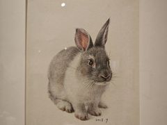 -江苏省美术馆(长江路新馆)