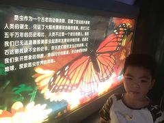 -上海昆虫博物馆