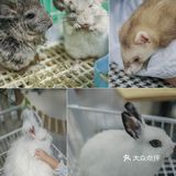 遇见萌宠，邂逅快乐