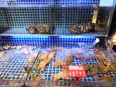水产区-必点海鲜·鲅鱼水饺(鞍山西道店)