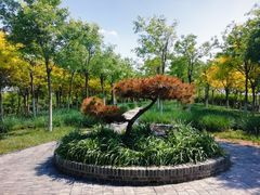 -天津东丽湖风景区