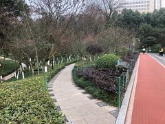 -龙头寺公园