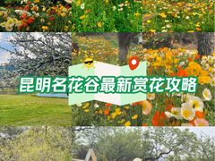 -名花谷生态庄园