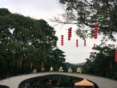 -云溪植物园