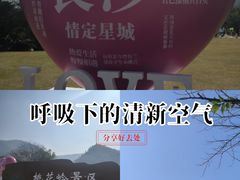 -桃花岭景区