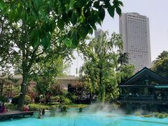 -静安公园(静安寺街道)