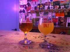 -ZING鲸鱼啤酒(葡萄院店)