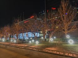 -美丽田园