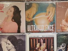 -树懒黑胶唱片店(中山路店)