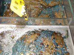 -好兄弟郭巨海鲜(天一阁店)