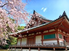 -醍醐寺