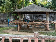 -清迈夜间动物园