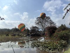 -中国科学院西双版纳热带植物园