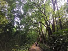-同里国家湿地公园