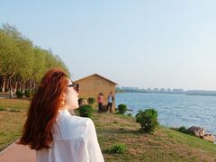 -丁香湖公园