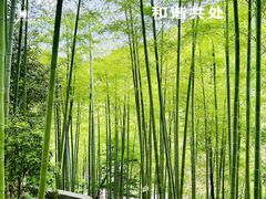 -莫干山风景区
