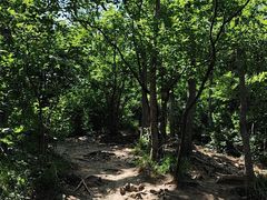 -紫金山山顶公园