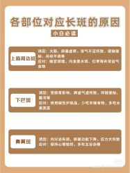 -玛莲朵·海菲秀冰珀科