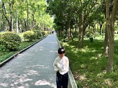 -唐城墙遗址公园