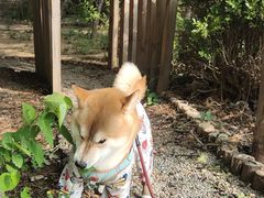 -北京市中关村医院