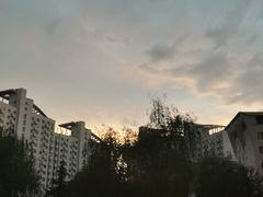 -北京丽亭华苑酒店·四季中餐厅(知春路店)