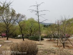 -北京西山国家森林公园