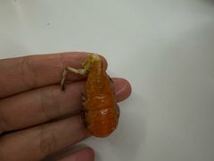 -新隆嘉 供销超市(修竹商场店)