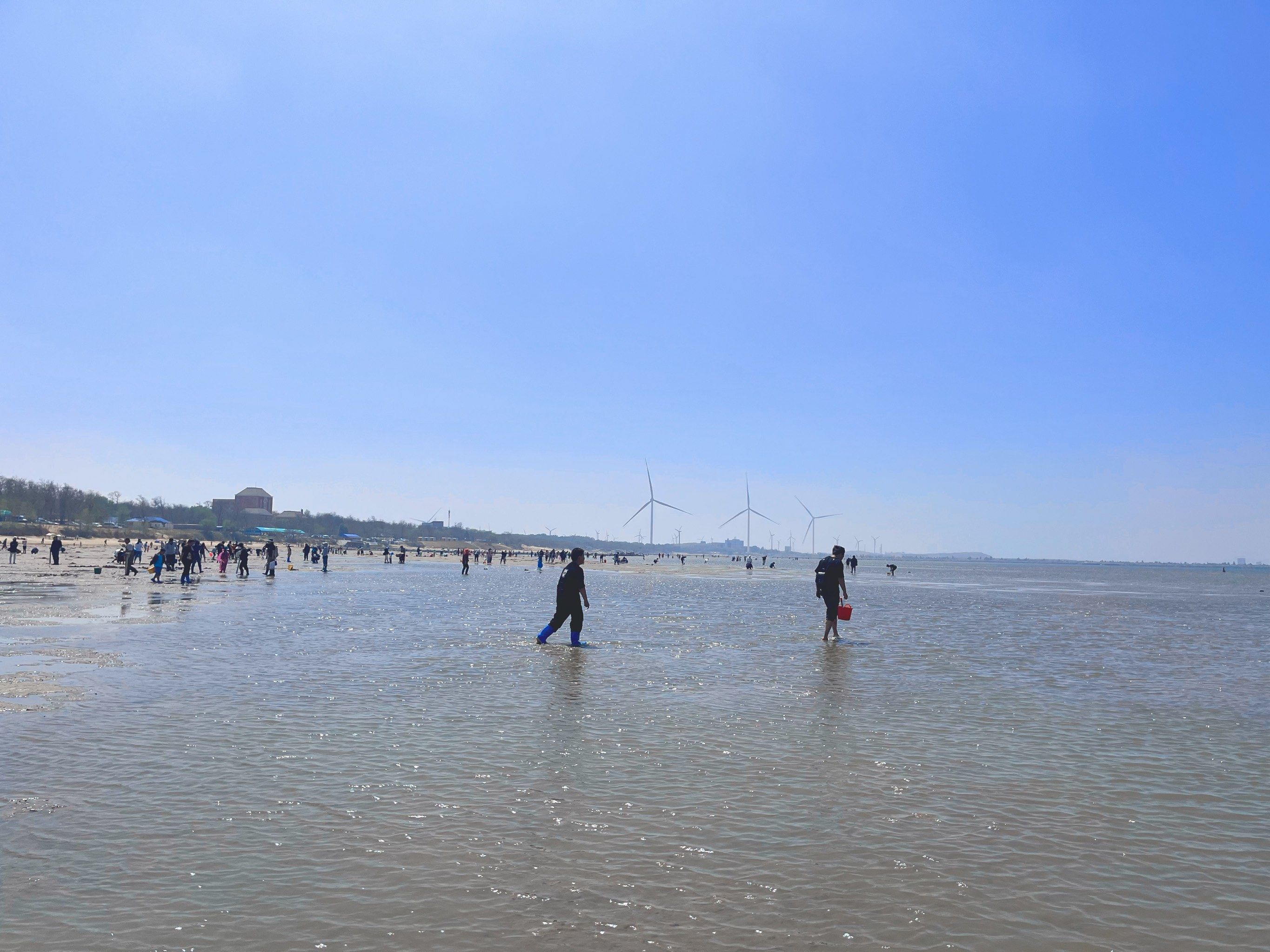 鲅鱼圈的赶海圣地