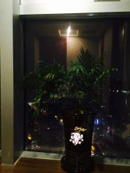 -Girmainy SPA杰美妮