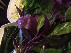 -滇釜火锅·能喝汤的火锅(车公庄店)