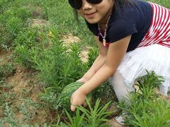 android_upload_pic-石塘人家