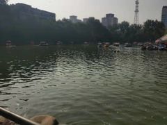 -莲湖公园