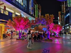 -江燕路万科里