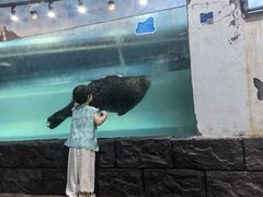 -嘉兴海底世界