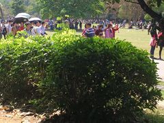 -华南植物园停车场
