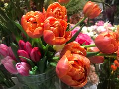 -植物学家的女儿(北马道巷店)