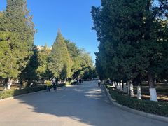 -辽宁大学(崇山校区)