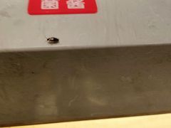 -羊来顺冰煮鲜羊铁锅烀羊肉(八卦岭店)