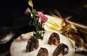 Whole 6-Head Abalone