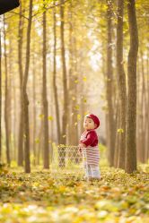 -DORA kids 朵拉儿童摄影花园店