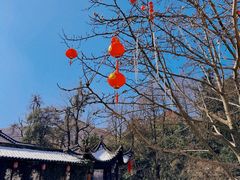 -九华山风景区