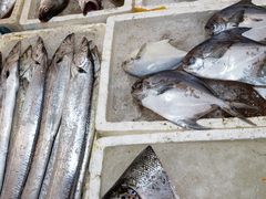 -芦潮港集贸市场