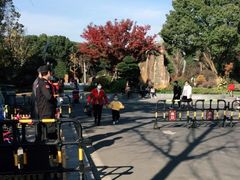 -昆山城市生态森林公园