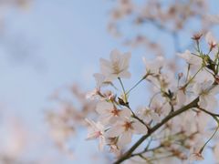 -龙美术馆(西岸馆)