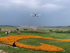 -空港花田景区