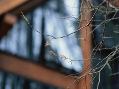 -山王坪喀斯特国家生态公园