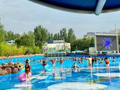 -郑州方特水上乐园
